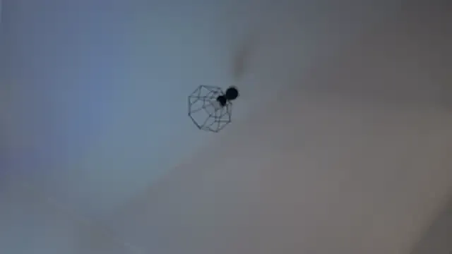 __Miray__ on StripChat