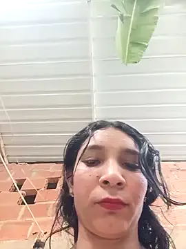 chikivivi- model from sc