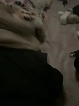 kingXqueenXX's avatar