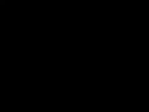 sari237