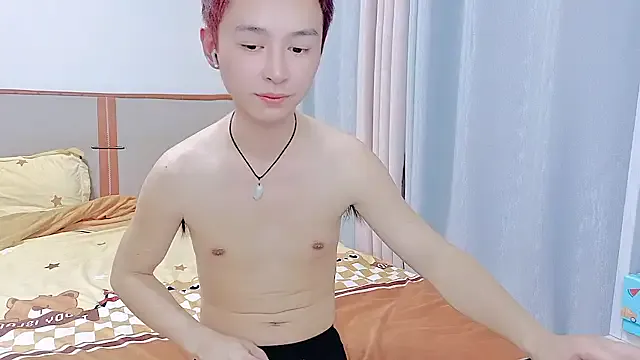 SUNNY_BOY model from sc