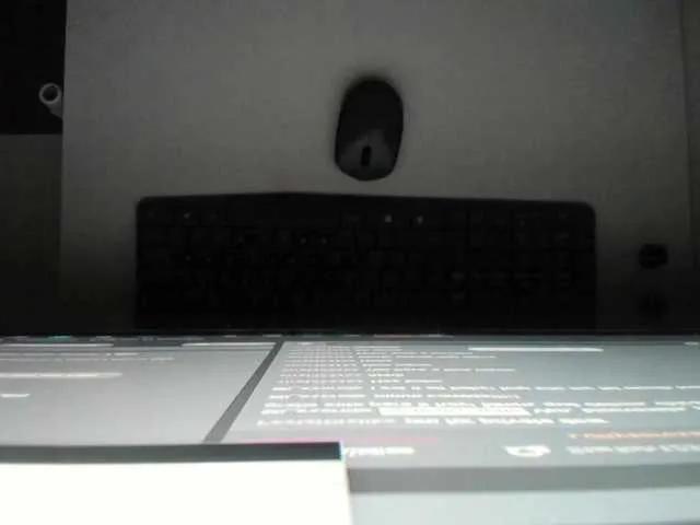 ammy-gate on BongaCams 