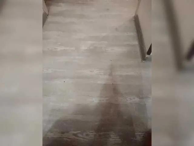 VinepyhPyhtochek — The sound of incoming tokens